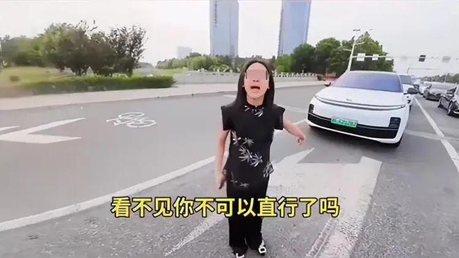 司机气到流产公布完整行车记录仪河北女司机与骑手冲突后续：女(图12)